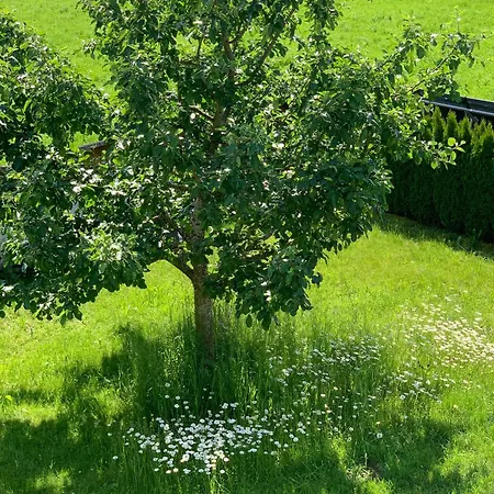 Appartement Haus Wilhelm