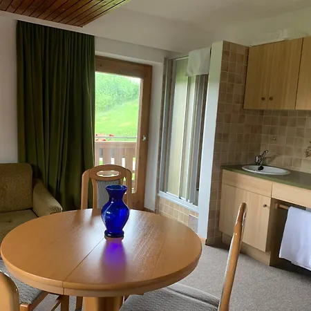 Haus Wilhelm Appartement Seekirchen am Wallersee